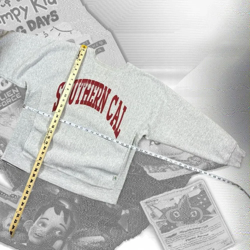 Vintage Desert Sportswear Heavyweight Gray & Red Southern California Pullover